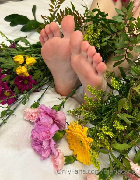 Foto di nudo di fuga di OnlyFans di Dianacane1