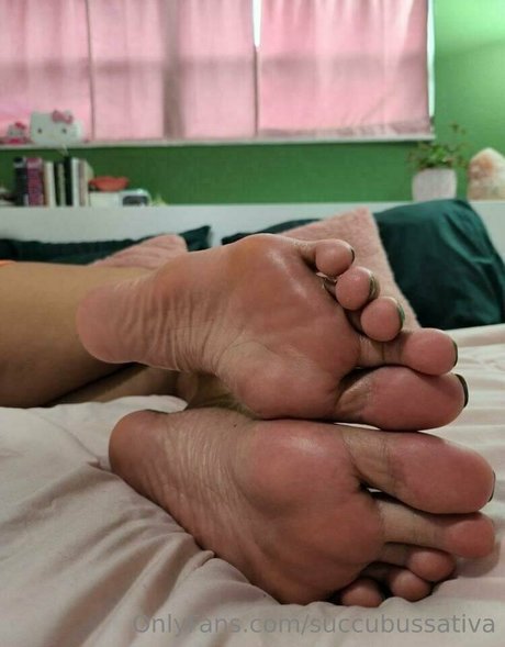 Succubussativa