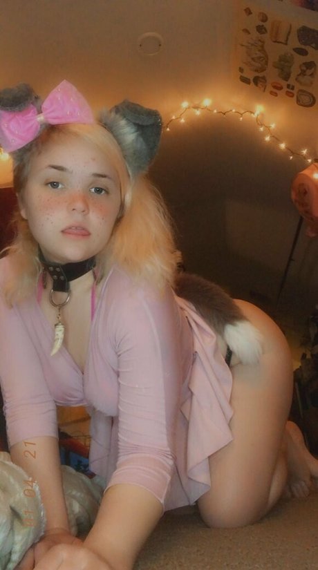 Pwuppydove