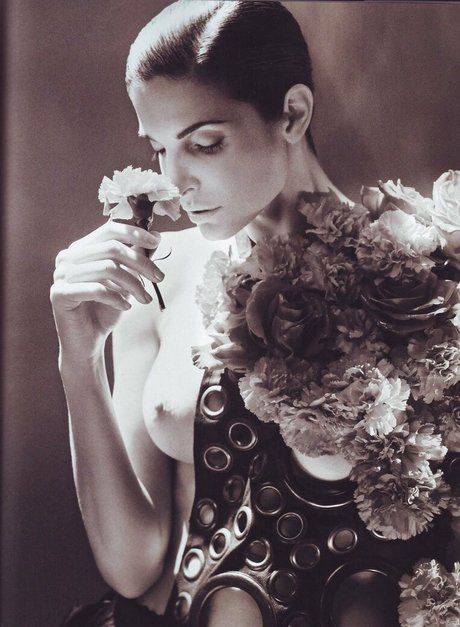 Foto di nudo di fuga di OnlyFans di Stephanie Seymour