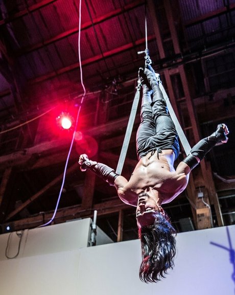 Kinkyninjawolf
