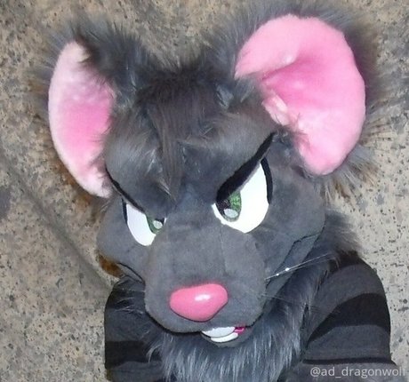 Addragonwolf