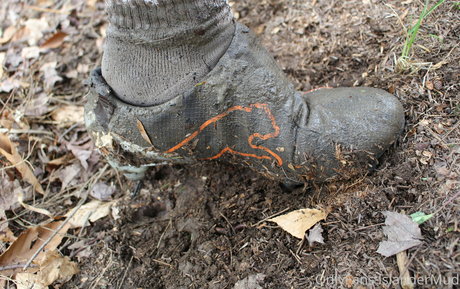 Islandermud