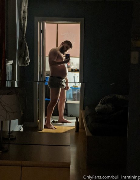 Bullintraining