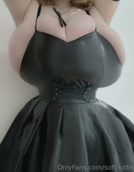 Foto di nudo di fuga di OnlyFans di Softkittn