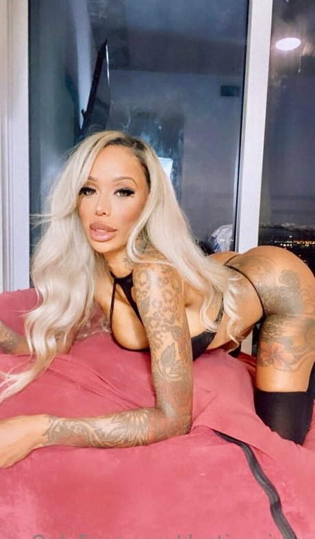 Destinyvixen