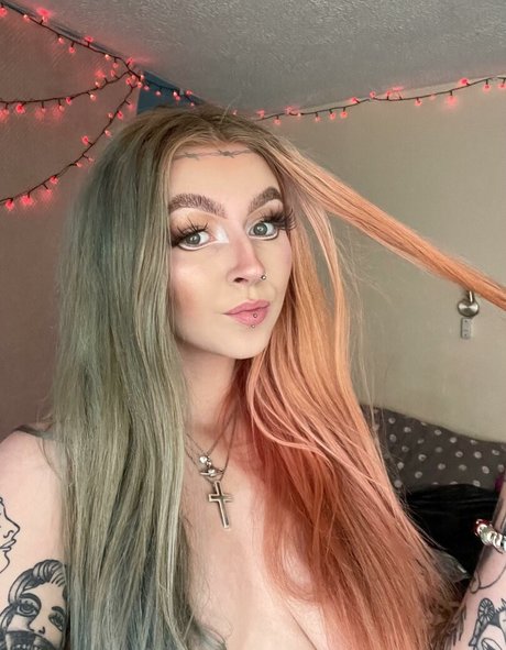 Xonicolavictoria