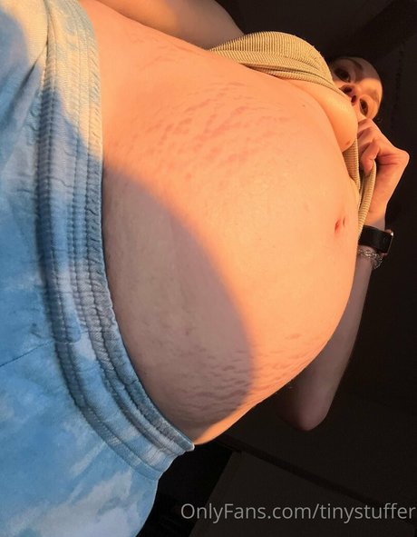 Foto di nudo di fuga di OnlyFans di Tinystuffer