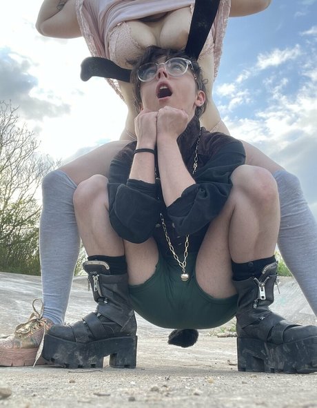 Holykoley
