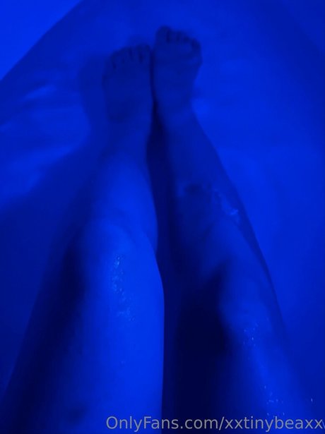 Xxtinybeaxx