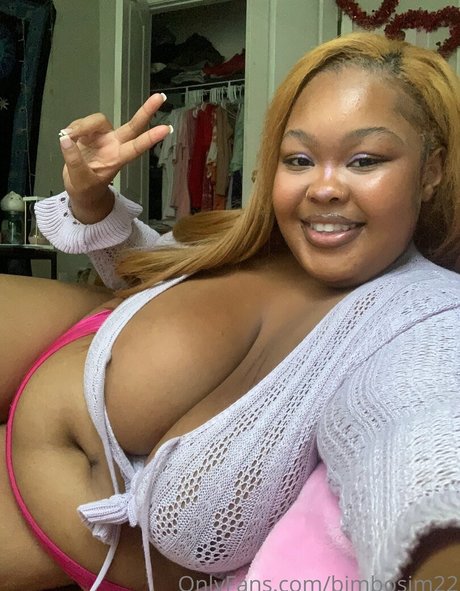 Bimbosim22
