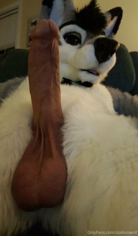 Foto di nudo di fuga di OnlyFans di Stallionwolf
