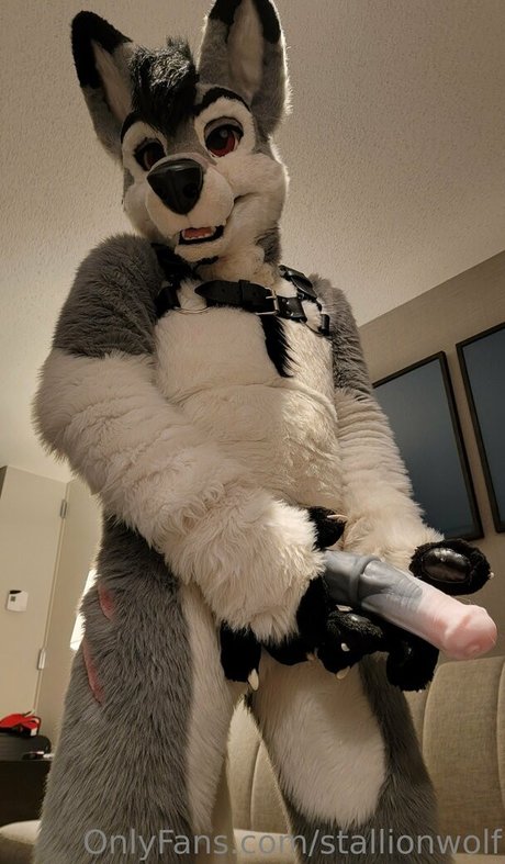 Stallionwolf