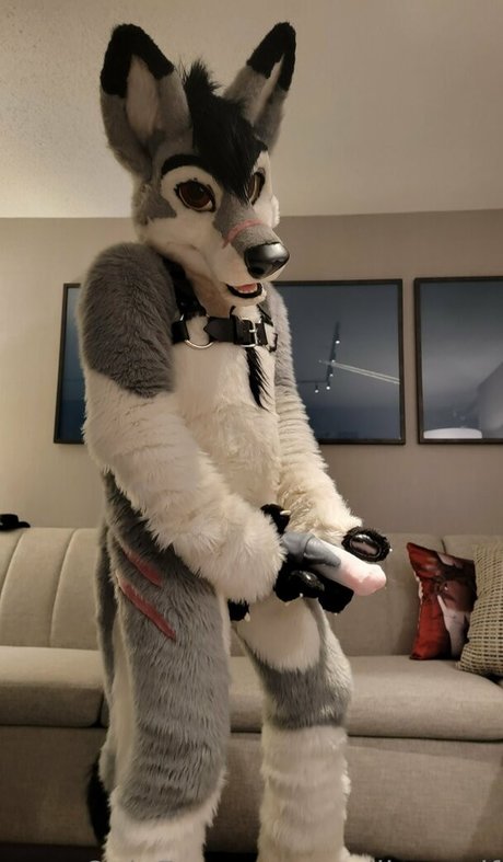 Stallionwolf