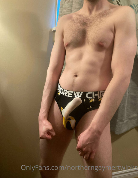 Foto di nudo di fuga di OnlyFans di Northerngaymertwinks