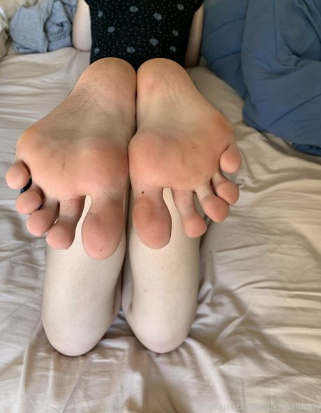 Foto di nudo di fuga di OnlyFans di Pallomalovely