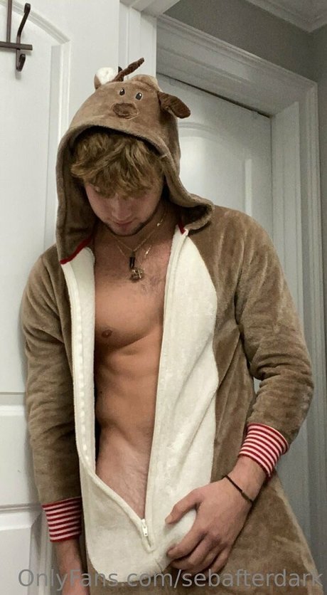Foto di nudo di fuga di OnlyFans di Sebafterdark