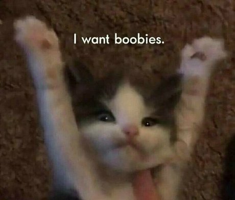 Foto di nudo di fuga di OnlyFans di Beatskins
