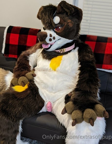 Extrasoftpup