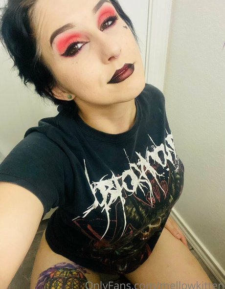 Foto di nudo di fuga di OnlyFans di Mellowkitten